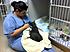 Click image for larger version. 

Name:	Carmichael_at_Vets2.jpg 
Views:	71 
Size:	133.8 KB 
ID:	54245