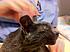 Click image for larger version. 

Name:	Carmichael_at_Vets3.jpg 
Views:	62 
Size:	114.4 KB 
ID:	54246