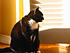 Phantom Profile