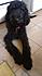 Click image for larger version. 

Name:	cutiepie.jpg 
Views:	147 
Size:	1.53 MB 
ID:	54291