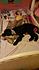 Click image for larger version. 

Name:	ollie and quinn sleeping.jpg 
Views:	133 
Size:	1.75 MB 
ID:	54296