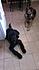 Click image for larger version. 

Name:	my boys.jpg 
Views:	125 
Size:	1.41 MB 
ID:	54297