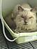 Click image for larger version. 

Name:	sick_queenie_2.JPG 
Views:	41 
Size:	33.5 KB 
ID:	54362