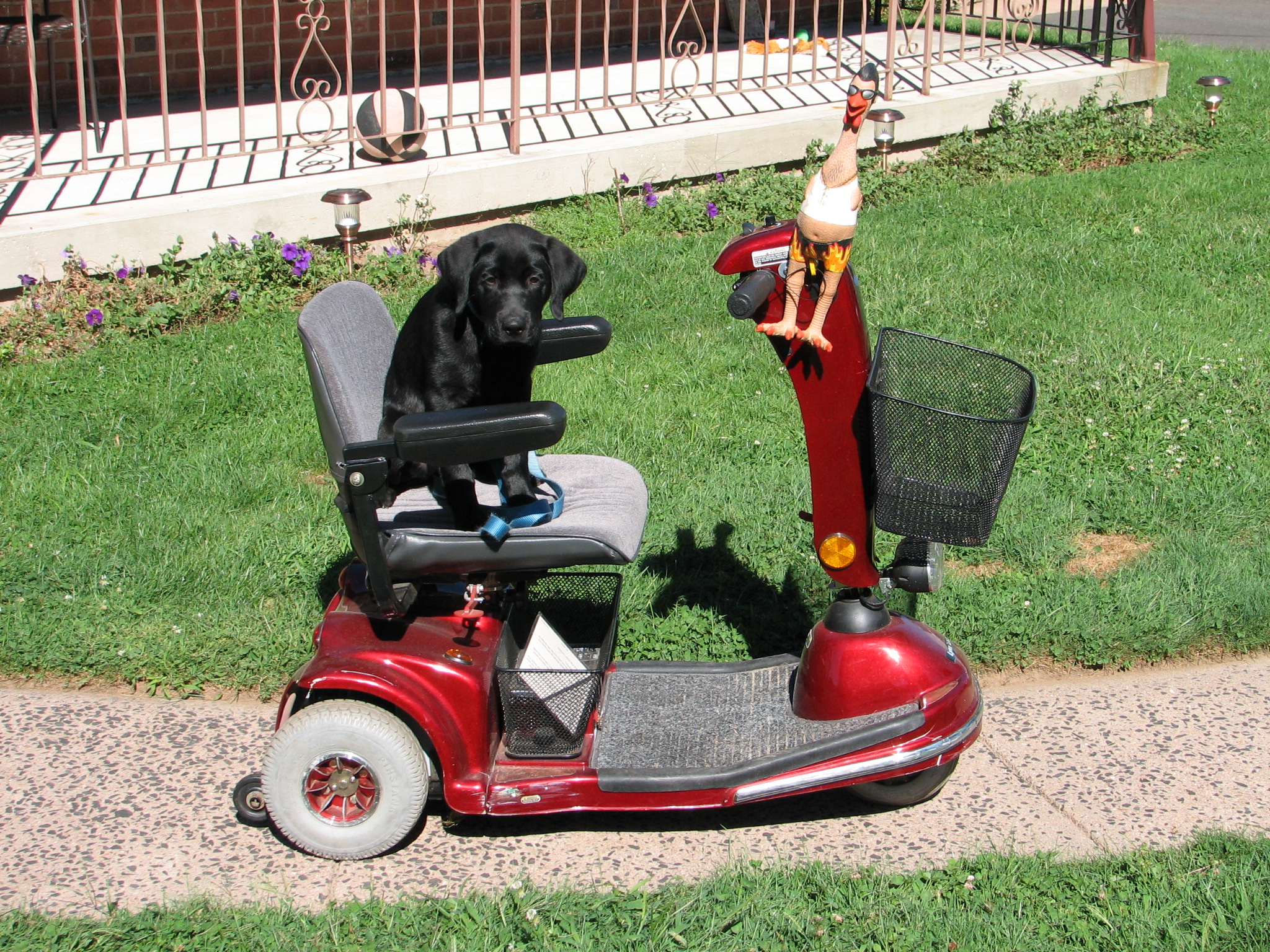 CooperBuggie 9 05 10 002
