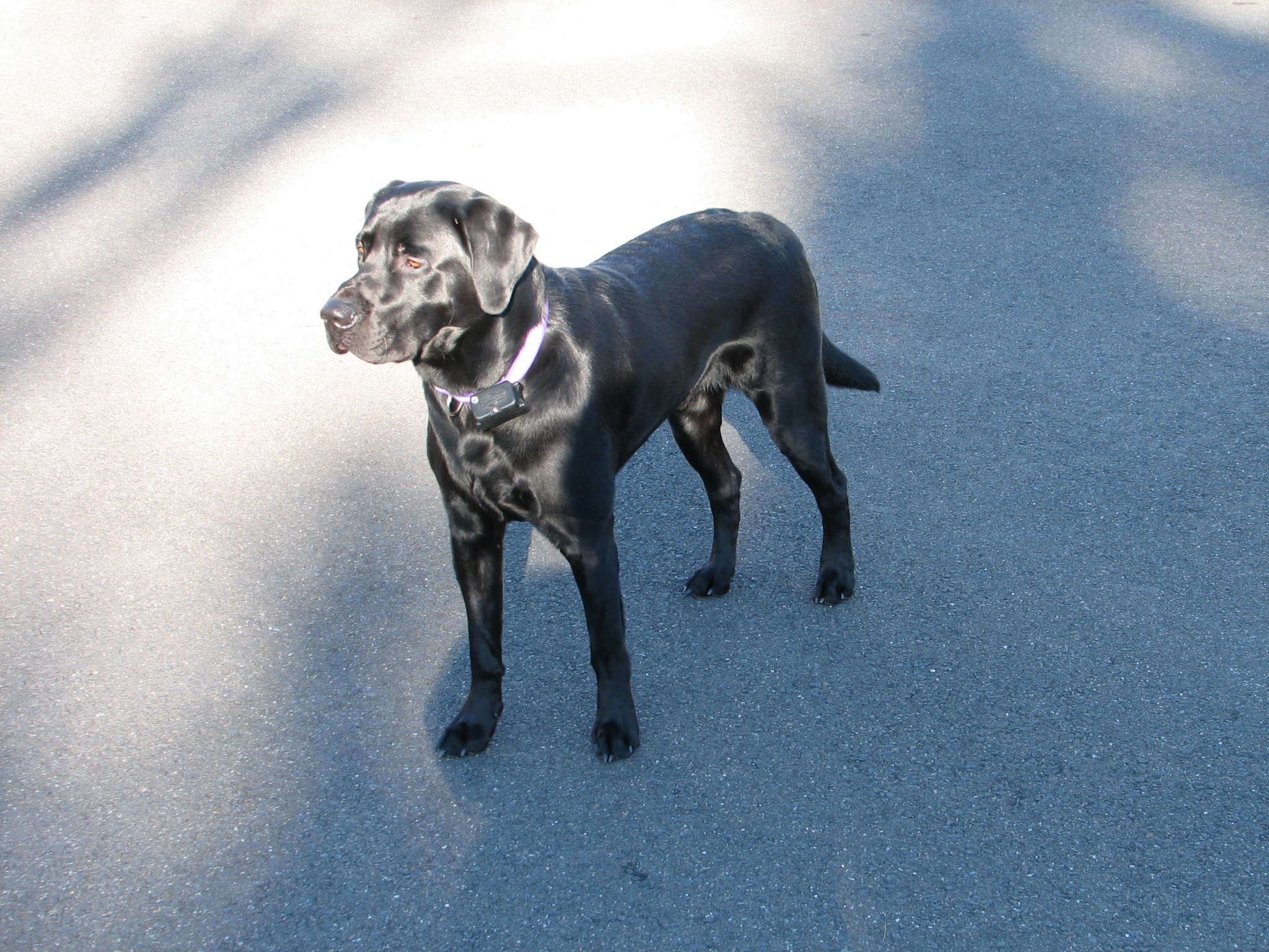 Cooper 2 26 12 012