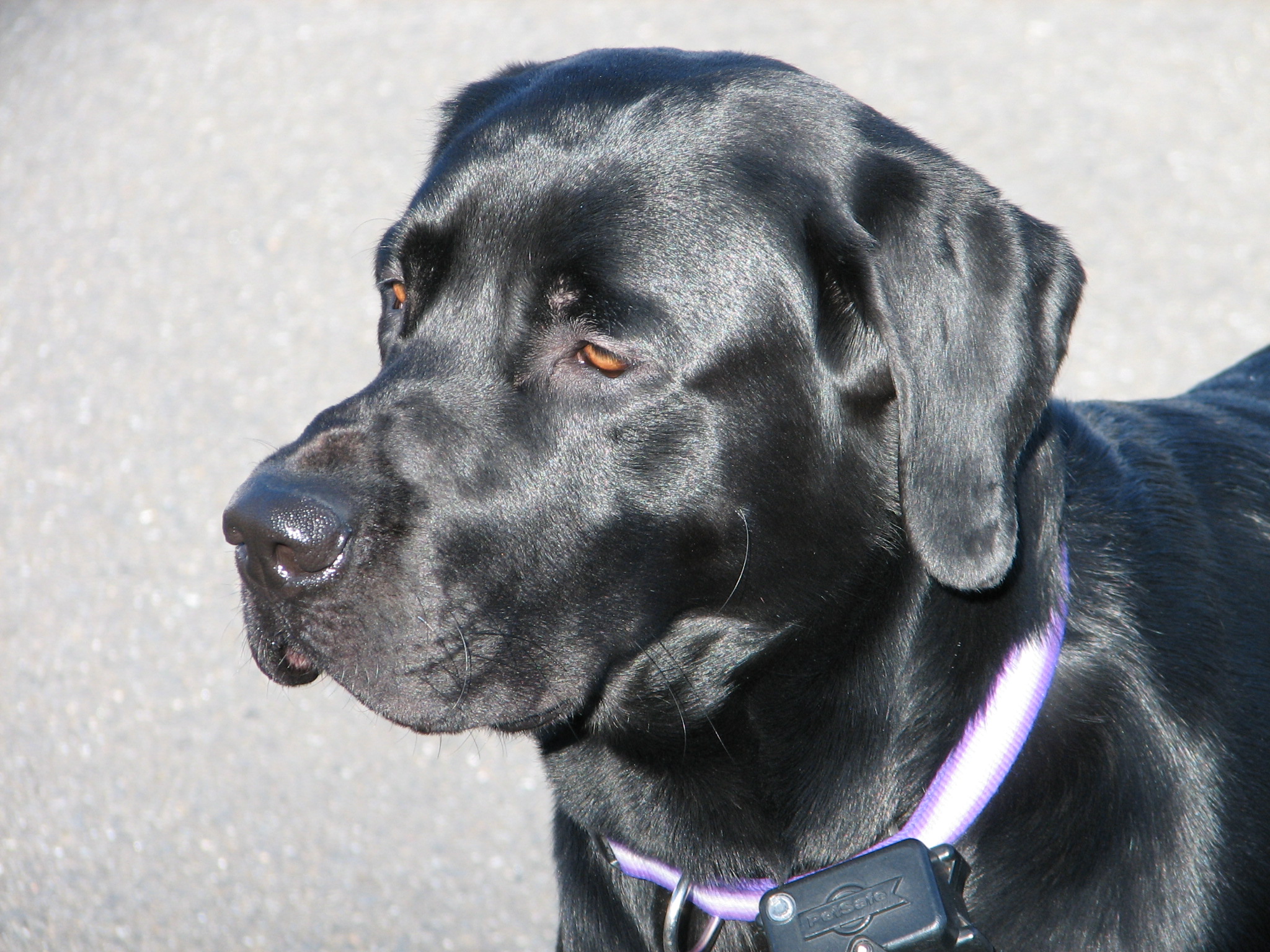 Cooper 2 26 12 013