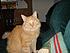 Click image for larger version. 

Name:	Rusty1.jpeg 
Views:	197 
Size:	3.47 MB 
ID:	54427