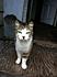 Click image for larger version. 

Name:	fluff2.jpg 
Views:	54 
Size:	78.5 KB 
ID:	54428