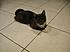 Click image for larger version. 

Name:	Nibbles2.JPG 
Views:	48 
Size:	78.5 KB 
ID:	54460
