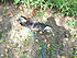 Click image for larger version. 

Name:	2012-08-14 10.55.08.jpg 
Views:	80 
Size:	97.0 KB 
ID:	54505