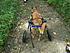 Click image for larger version. 

Name:	2012-08-14 10.54.44.jpg 
Views:	81 
Size:	97.2 KB 
ID:	54507
