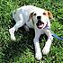 Click image for larger version. 

Name:	Gretchenadoptionday1.jpg 
Views:	117 
Size:	72.0 KB 
ID:	54536