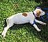 Click image for larger version. 

Name:	Gretchenadoptionday.jpg 
Views:	104 
Size:	351.6 KB 
ID:	54537