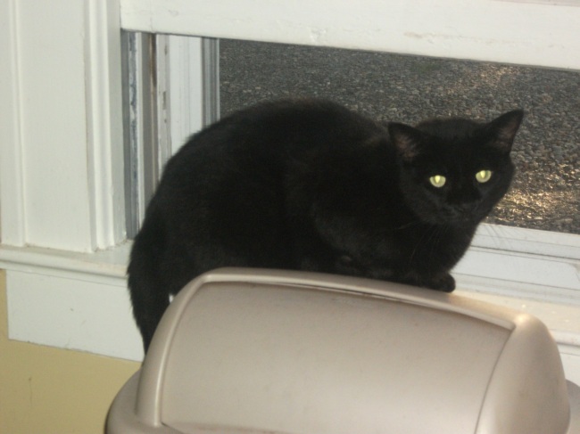 Name:  Shadow.JPG
Views: 652
Size:  83.2 KB