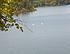 Click image for larger version. 

Name:	2012-08-23_12-22-46_933.jpg 
Views:	72 
Size:	200.9 KB 
ID:	54579