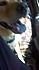 Click image for larger version. 

Name:	2012-08-23_15-25-43_211.jpg 
Views:	77 
Size:	1.50 MB 
ID:	54584