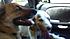 Click image for larger version. 

Name:	2012-08-23_13-19-27_88.jpg 
Views:	73 
Size:	1.01 MB 
ID:	54585