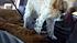 Click image for larger version. 

Name:	2012-08-23_14-08-40_579.jpg 
Views:	79 
Size:	1.61 MB 
ID:	54586