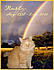 Click image for larger version. 

Name:	Rusty from PetTalk.jpg 
Views:	150 
Size:	1.67 MB 
ID:	54612