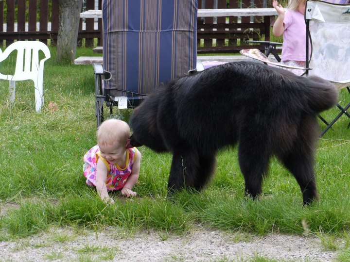 Name:  563515_10151906770060271_1444547697_n.jpg
Views: 221
Size:  110.9 KB