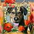 Click image for larger version. 

Name:	Bandit1.jpg 
Views:	428 
Size:	100.1 KB 
ID:	54648