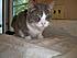 Click image for larger version. 

Name:	tuffy__(1).jpg 
Views:	174 
Size:	1.31 MB 
ID:	54689