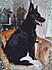 6 Cleo Jan 2004 
My Rainbow Bridge Girl and My Heartsong