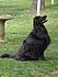 61 Lucas is squirrel watching ! 26 5 12