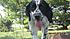 Click image for larger version. 

Name:	Lolli2.JPG 
Views:	66 
Size:	59.8 KB 
ID:	54725