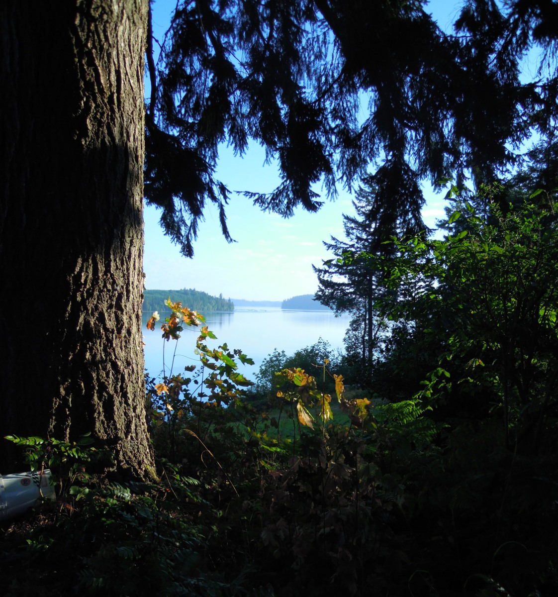 Name:  Sunlight view 2.JPG
Views: 116
Size:  488.8 KB