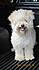 Click image for larger version. 

Name:	fido5.jpg 
Views:	68 
Size:	78.7 KB 
ID:	54795