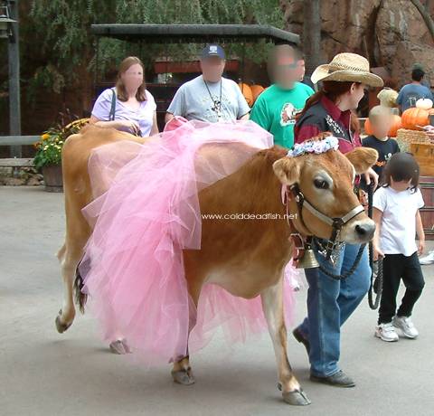 Name:  tutu.jpg
Views: 1828
Size:  46.3 KB