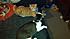 Click image for larger version. 

Name:	2012-08-26_19-55-32_93.jpg 
Views:	149 
Size:	1.03 MB 
ID:	54825