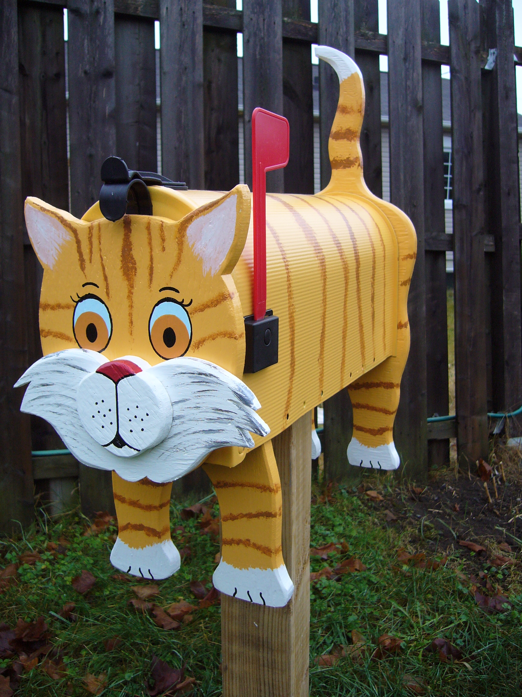 Yellow cat