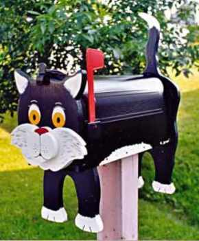 black cat
