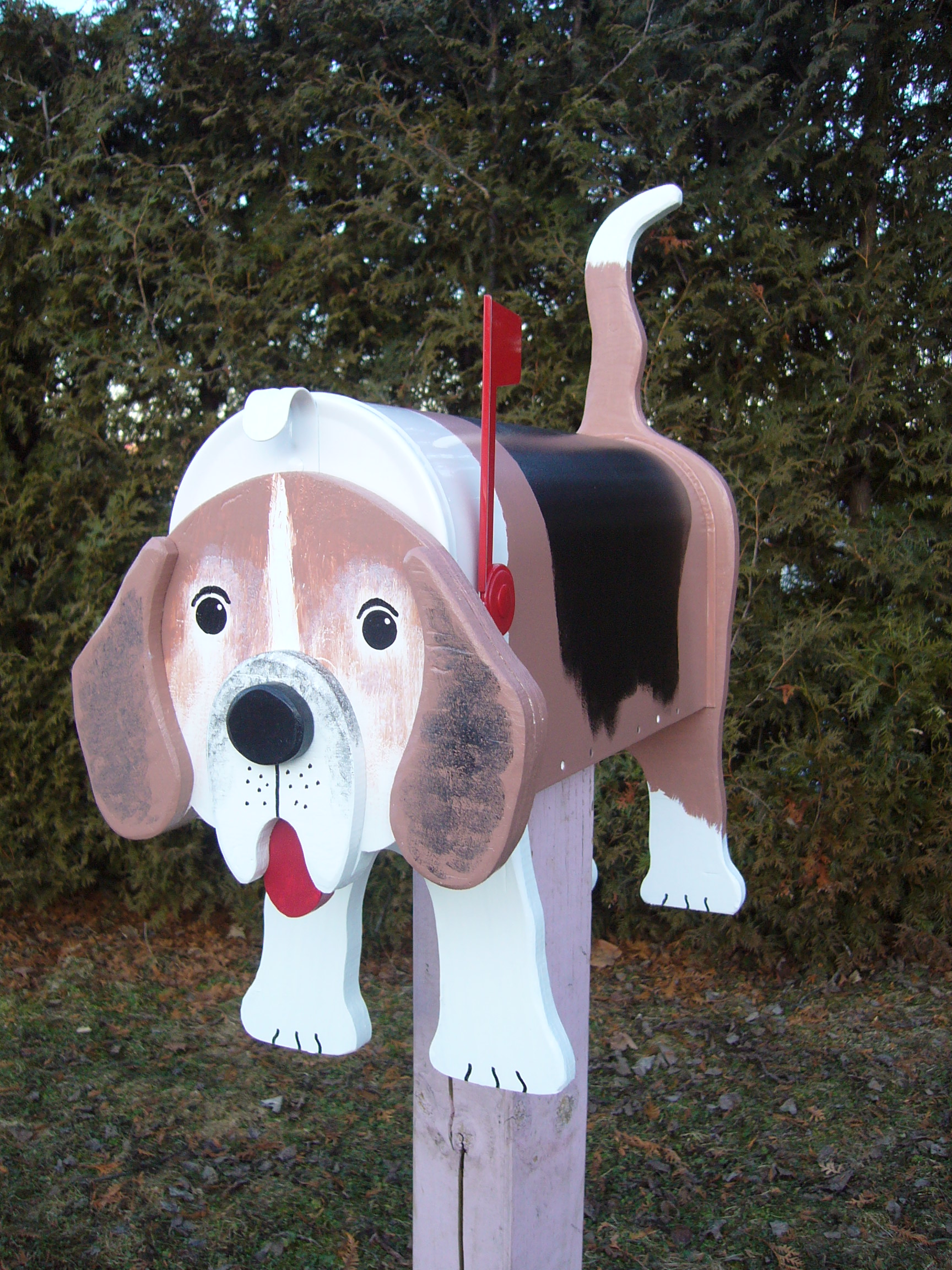 beagle