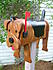 airedale