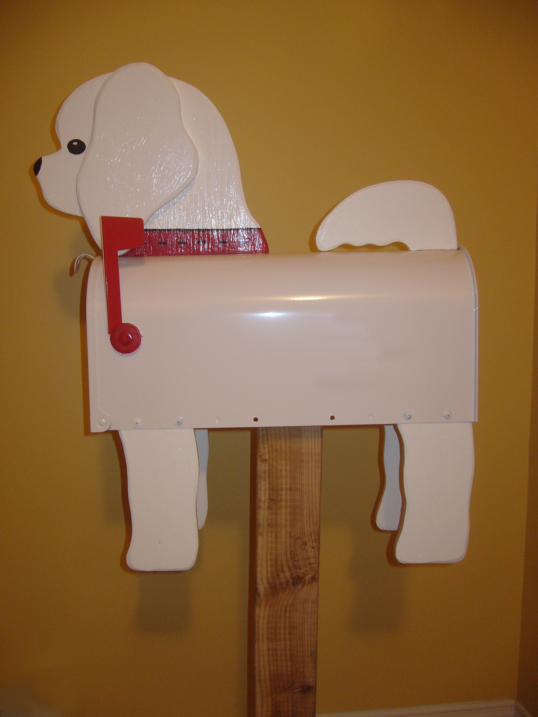 bichon frise