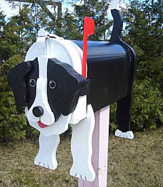 collie