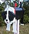 collie
