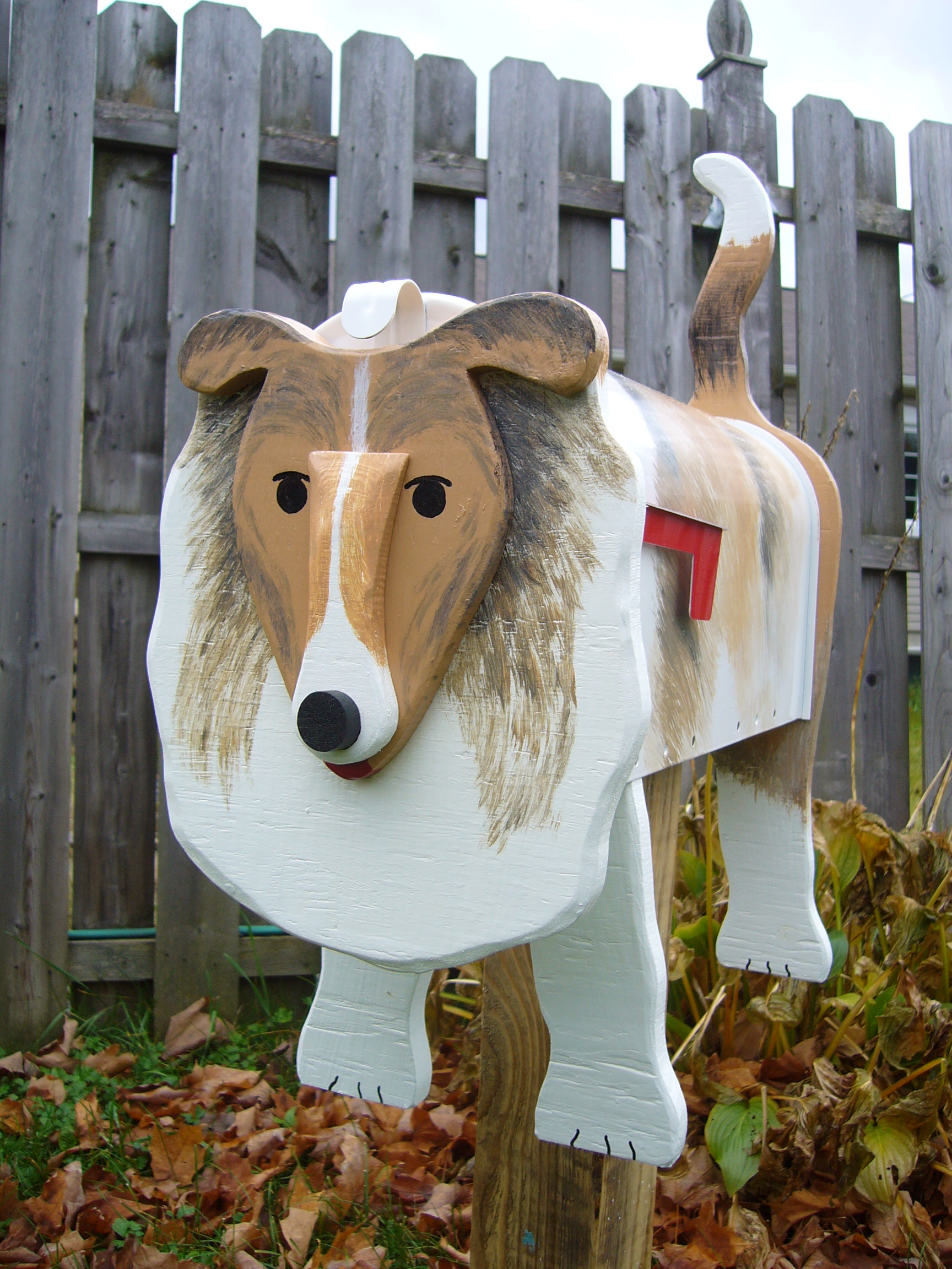 collie lassie