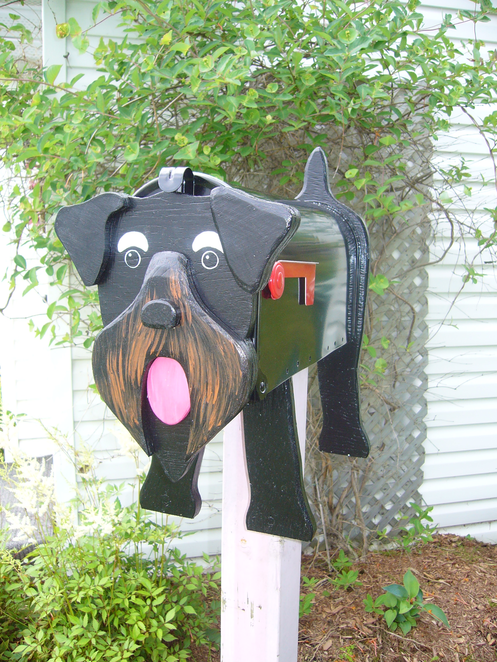 schnauzer