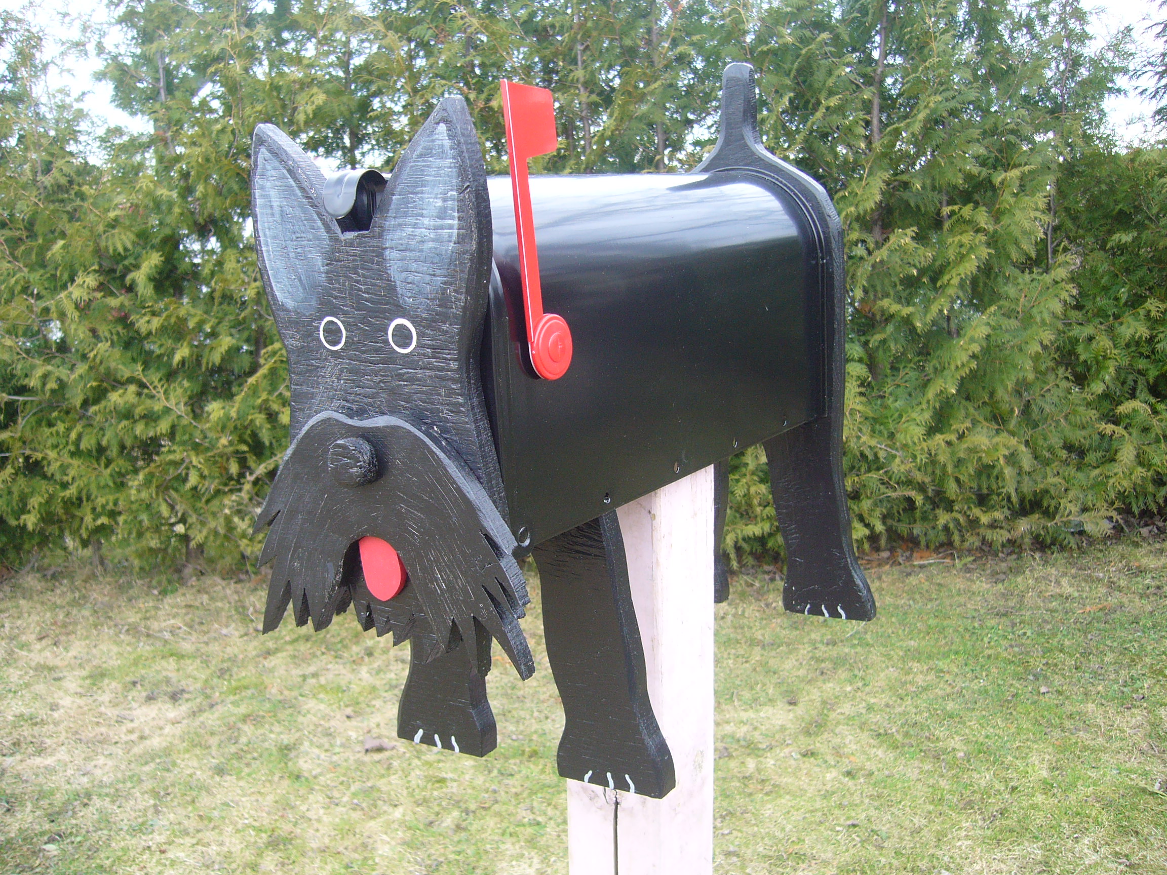 scottish terrier
