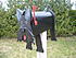 scottish terrier