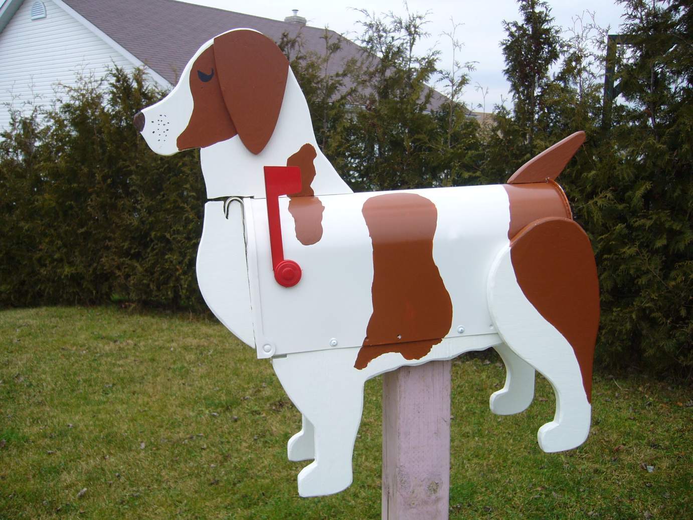 spaniel brittany