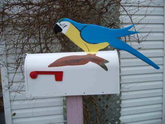 Macaw