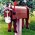 horse