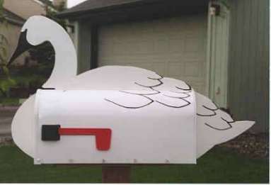swan