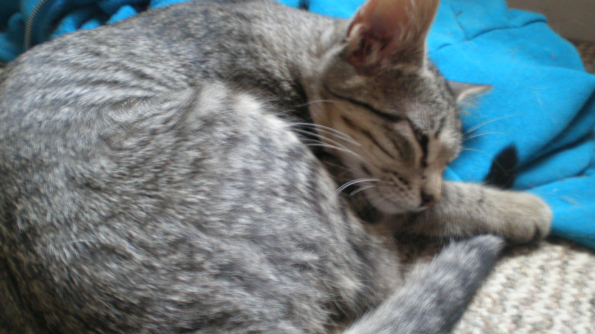 Taken on the 9th
She isn't as skinny as when found her anymore