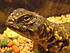 IMG 4278 1